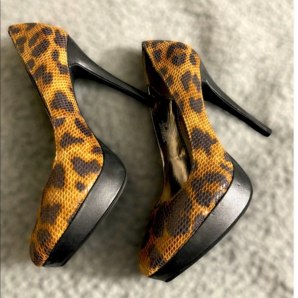 Beautiful Black and Tan Heel